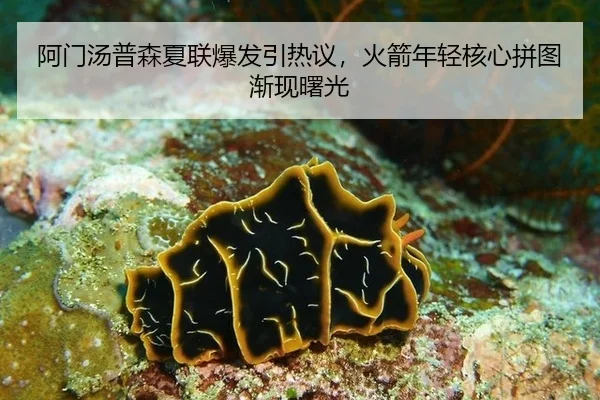 a-men-tang-pu-sen-xia-lian-bao-fa-yin-re-yi-huo-jian-nian-qing-he-xin-pin-tu-jian-xian-shu-guang-2-539.jpg