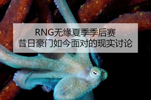 RNG无缘夏季季后赛 昔日豪门如今面对的现实讨论